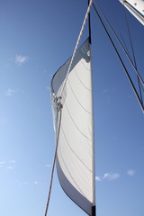 Fototapeta premium sail