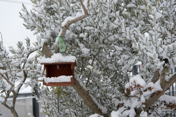 Snow in the hills - bird and bird house