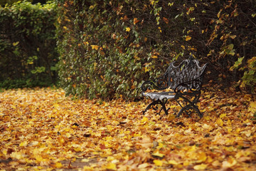 Obraz premium Fall in the park