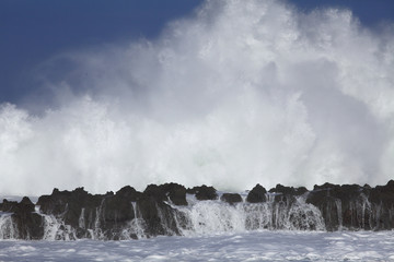 Océan Pacifique / Hawaï