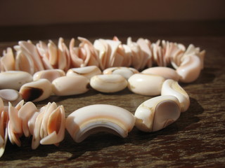 Ожерелье из морских раковин