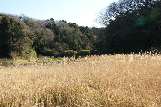 川名清水谷戸