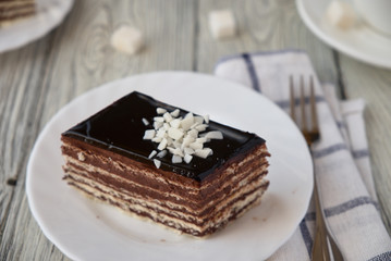 Delicious dessert cake with chocolate cream and coffee