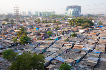 Slum Rooftops