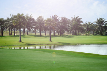 Fototapeta premium Photo golfer is backlit photography.