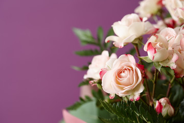 Beautiful roses bouquet on purple background, space for texting