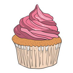Vector drawing, illustration cupcake muffin