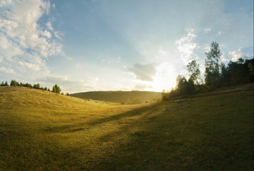 Naklejka premium nature landscape in June