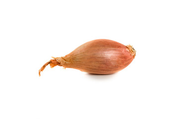 Bulb onion isolated on a white background