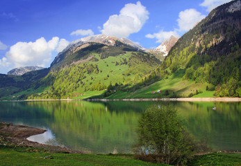 Fototapeta na wymiar Spring in Alps