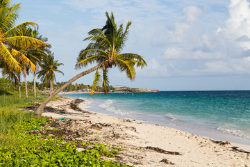 Obraz na płótnie Canvas Cayo Coco beach
