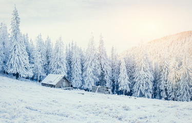 Fototapeta premium cabin in the mountains in winter 