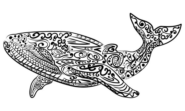 Zentangle stylized whale vector illustration