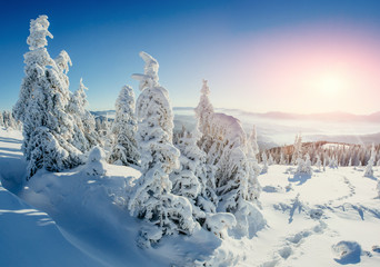 magical winter snow covered tree 