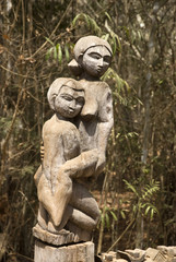 Fototapeta na wymiar Statue de la fertilité / Parc National de Kirindy / Madagascar