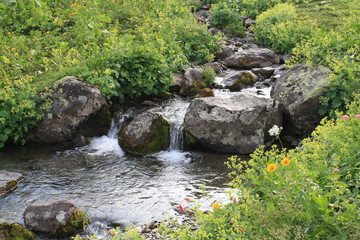 Naklejka na ściany i meble mountain stream flowing between stones