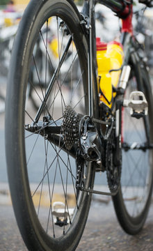 Rear wheel of sports track bike.