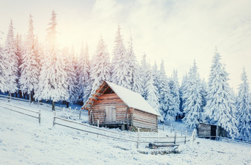 Fototapeta na wymiar Cabin in the mountains in winter. Carpathian, Ukraine, Europe