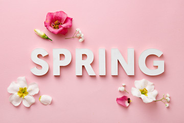 Flat lay spring letters with flowers on a pink background. Spring concept. Top view