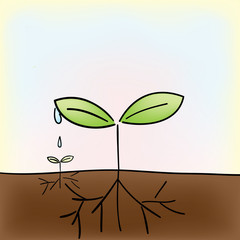 A little tree is growing up by the drop of the water from a big