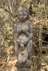 Fototapeta na wymiar Statue de la fertilité / Parc National de Kirindy / Madagascar