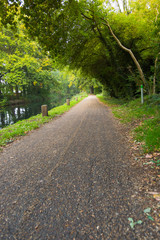 Fototapeta na wymiar Walk path in park hike trail at water channels in Woking, Surrey