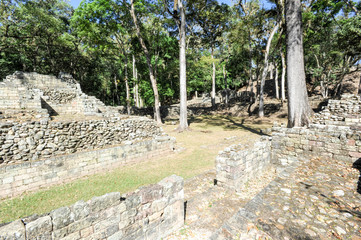 Fototapeta na wymiar The Mayan ruins of Copan