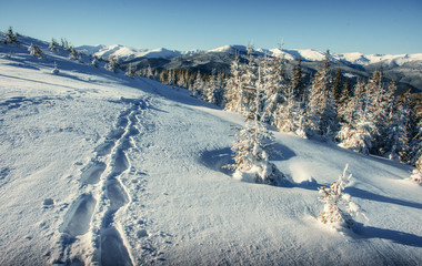 Fototapeta na wymiar Fantastic winter landscape and trodden trails that lead into the