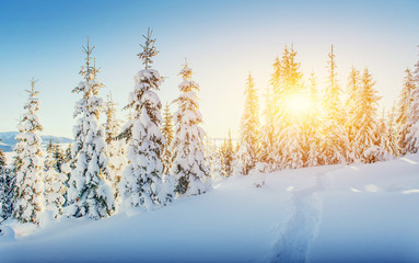 Fantastic winter landscape and worn trail leading into the mount