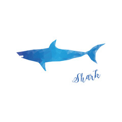 Low poly shark isolated. Blue shark with lettering