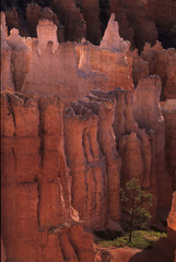 Bryce Canyon