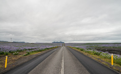 Icelandic scenic ring road