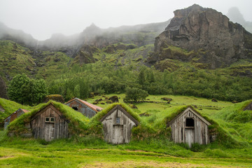 Fototapeta na wymiar Typical icelandic house covered with grass
