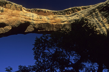 Natural Bridges