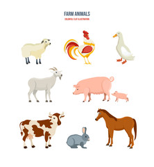 Set of different farm animals on white background.