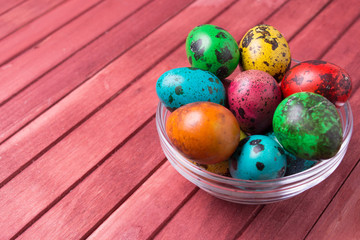 Color quail eggs in the jar