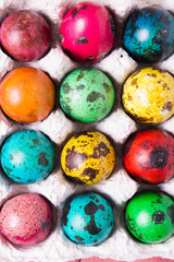 Color quail eggs
