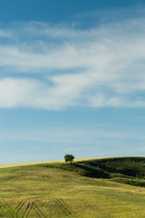 Obraz premium Toscana, paesaggio italiano