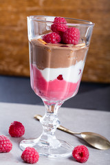 Glass of chocolate and rapsberry dessert