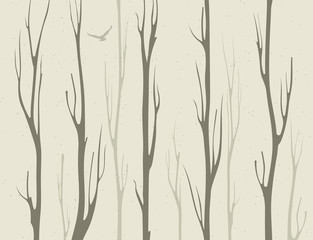 Fototapeta premium dry branches of bamboo trees