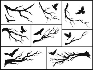 set of branches and birds
