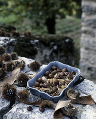 Marrons aux oignons, façon paysanne