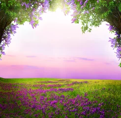 Fotobehang Betoverde Bos Fantasy  background . Magic forest.Beautiful spring  landscape.  © Lilya