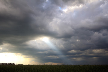 Ray of light after a spring storm