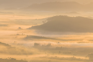 see fog in forest on hilltop inside the middle field of national park