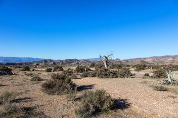 Désert de Tabernas, Almeria, Andalousie, Espagne