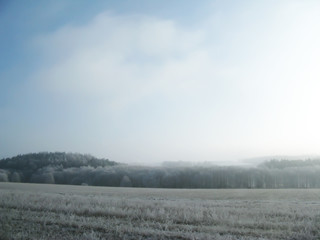 Winter snowy landscape