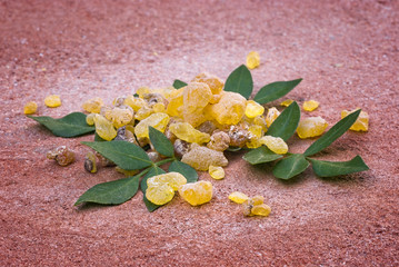 Frankincense (Boswellia Papyrifera), resin and leaves, Incense f