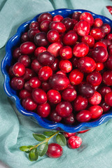Fresh cranberries in a blue bowl. Ripe berries of Vaccinium