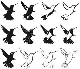 hummingbird stylization
